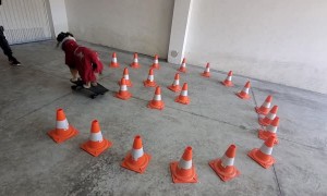 Super Skilled Skater Dog