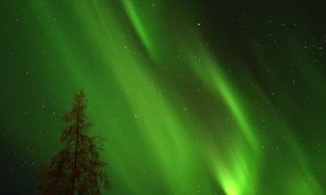 Aurora Borealis Dances Across the Night Sky