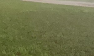 Huge Tornado Wipes Power to Home