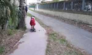 Dog Skateboards Behind Biking Owner on Narrow Path