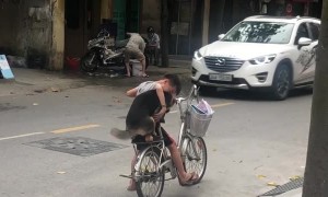 A Boy, A Dog and a Bike