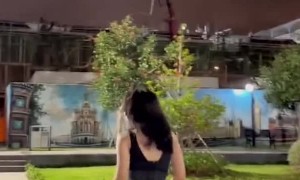 From Stylish to Swimming in a Single Step