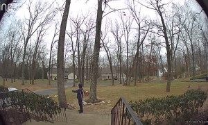 Dog Runs with Amazon Package and Hides in Delivery Drivers Truck