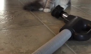 I’ve learned to face life’s annoyances and fears with calmness, courage, and confidence...