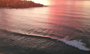 Bondi’s Sunrise Stunner
