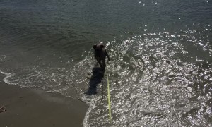 Puppy's First Time Playing in the Ocean