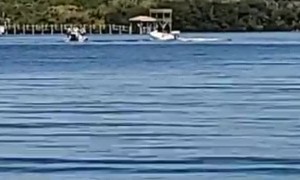Driver Falls Out of Boat and it Hits Dock