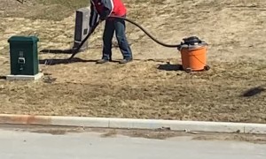 Yard Cleanup Taken to the Next Level