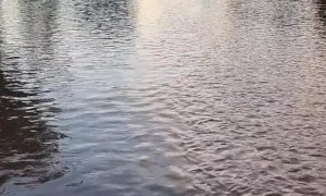 Flooding Fills the Streets of Moree