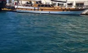 Sea Lion Boards Boat for Snack
