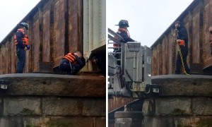 Dog rescued near Potomac River by DC Fire and Rescue, US Park Police