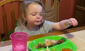 Toddler Tries Buffalo Sauce for the First Time
