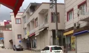 Clever Kitty Escapes Flooded Street