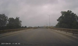 Horse Bolts Into Oncoming Traffic