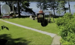 Squirrel Spinning on Bird Feeder