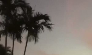 Canvassing Marketing Worker Followed and Harassed by Old Man