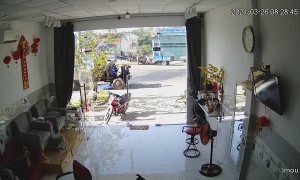 Dog Gets Got by Glass Door