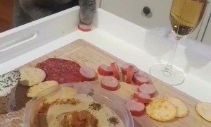 Cat Struggles to Steal Food From Charcuterie Board