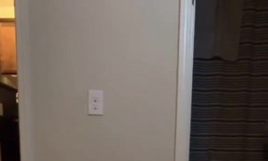 Woman Hides Under the Bed to Startle Partner