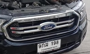 Monitor Lizard Lays on Motor