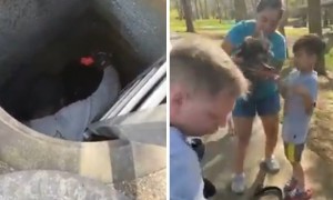 Firefighters & animal control officers rescue puppy from storm drain