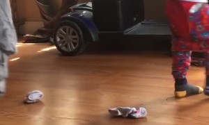 Toddler Slips through Falling Shelf Gap in Close Call