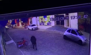 Bull Barrels Man Over on Brazilian Street