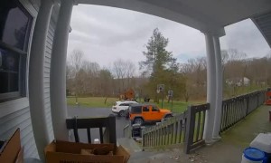 Rowdy Doggy Rips into Package on Porch