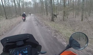 Running Deer Misses Motorcycle Rider by Inches