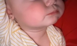 Happy Toddler Talks in Her Sleep