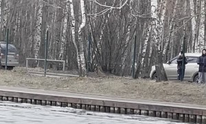 Good Samaritan Climbs Over Thin Ice to Rescue Stranded Dog