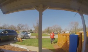 Running Dog Rips Porch Post Right off House