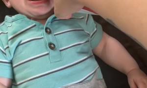 Whipped Cream Keeps Kid from Crying