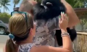 Heart-melting reunion between a monkey and the couple who raised him 