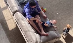 Dad Saves Baby From Tumbling Off the Couch