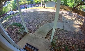 Lady is Trying to Find Porch Pirate