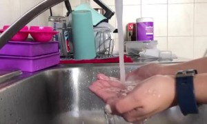 Adorable parrot loves talking baths in the sink