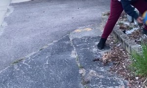 Kindhearted Officer Purchases Basketball Hoop for Neighborhood Children