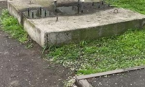 Pooch Portrays Prowess over Puddle