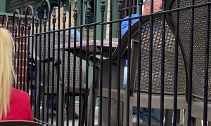 New Jersey Vice Principle and Wife Disrupt Restaurant over Bathroom Occupant