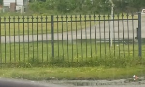 Lady Chooses the Hard Way