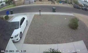 Trashcan Decides to Run Away