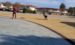 Dude and Dog Skate Together