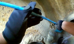 Police rescue ducklings from bottom of storm drain