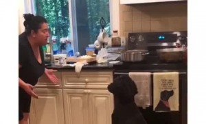 Mom didn't want a dog, but look at her now!