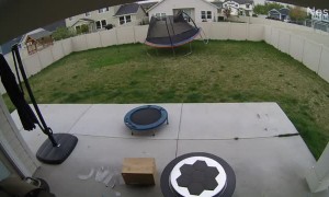 Gusty Wind Gives Trampoline to Neighbor as a Gift