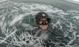 Swimming in an Ocean of Ice Needles