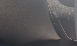 Drive Thru Spider Surprise