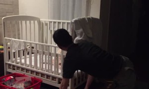 Hyper Baby Enjoys Peekaboo