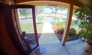 Grandma Really Doesn't Like Snakes in Her House